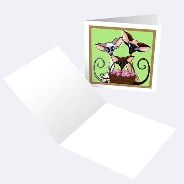 Pack of 10 Siamese & Oriental Any Occasion Cards - Image 3