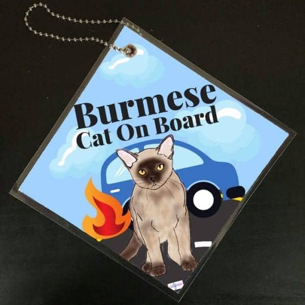 Burmese Cat on Board Car Sign