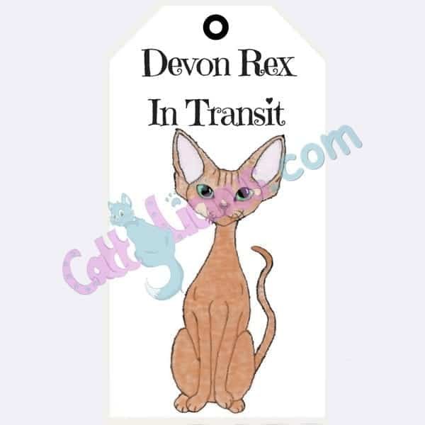 Devon Rex Cat in Transit Signs