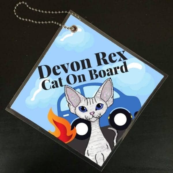 Devon Rex Cat on Board Car Sign