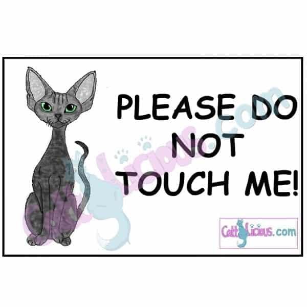 Devon Rex Cat Please Do Not Touch Cat Show Sign