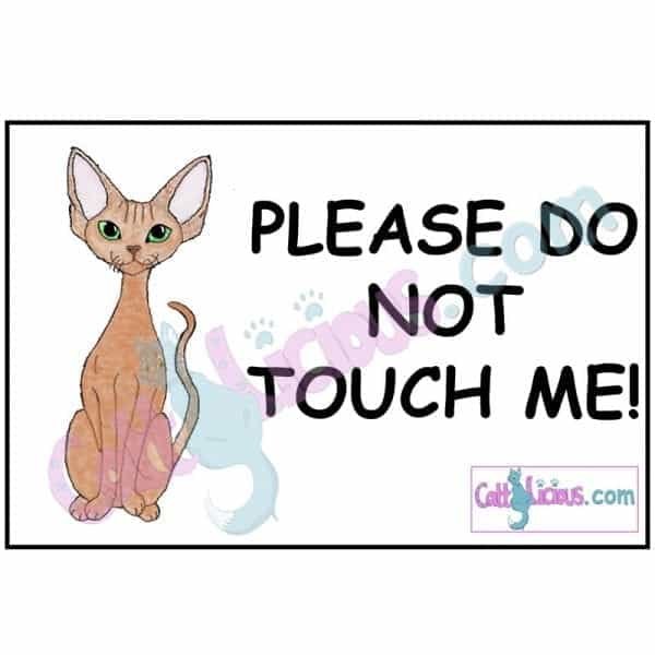 Devon Rex Cat Please Do Not Touch Cat Show Sign