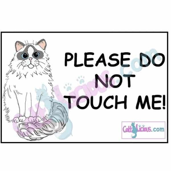 Ragdoll Cat Please Do Not Touch Cat Show Sign