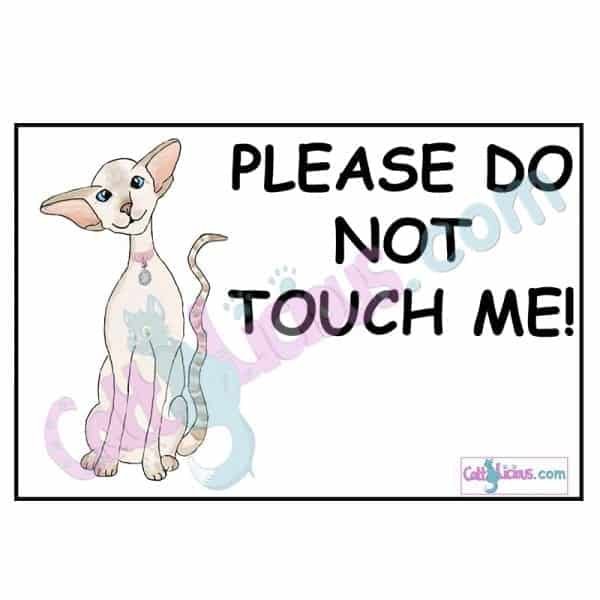 Siamese Cat Please Do Not Touch Cat Show Sign