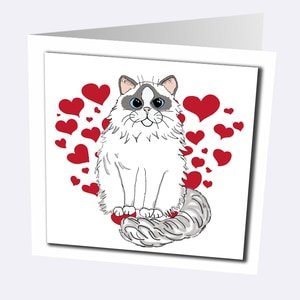Ragdoll Cat Cards