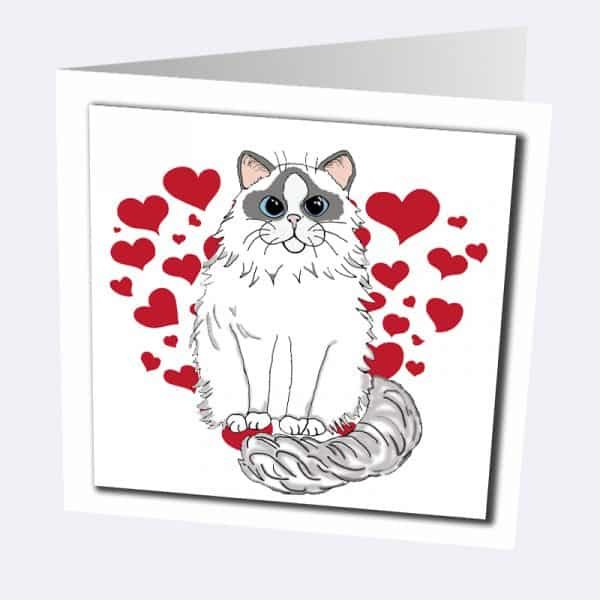 Ragdoll Greetings Card