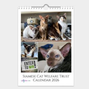 Siamese Cat Welfare Trust Calendar 2026