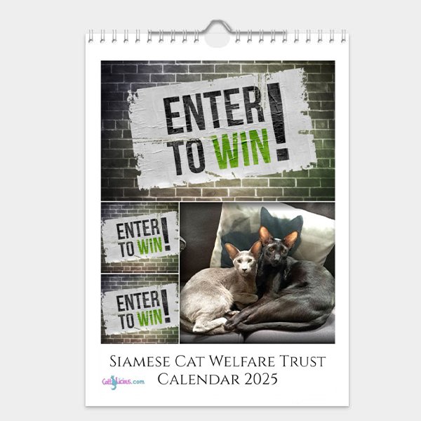 Siamese Cat Welfare Trust Calendar 2025 by CattyLicious Cat Calendars