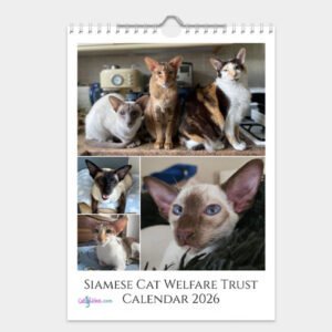 Siamese Cat Welfare Trust Calendar 2026