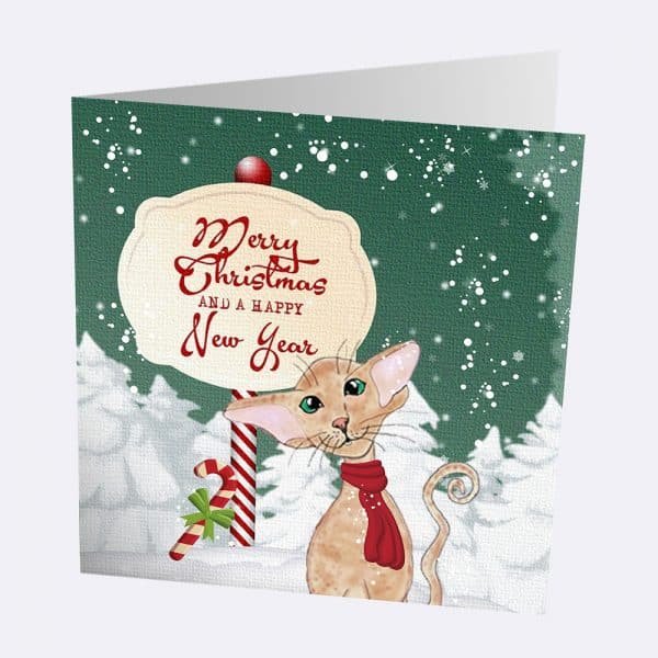 Pack of 10 Siamese and Oriental Christmas Cards - Image 2