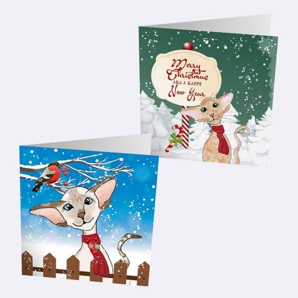 Pack of 10 Siamese and Oriental Christmas Cards