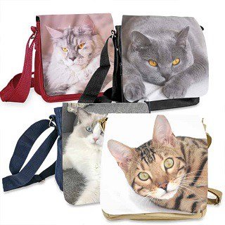 Gifts for cat lovers