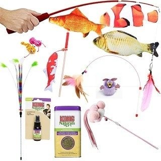 cat toys