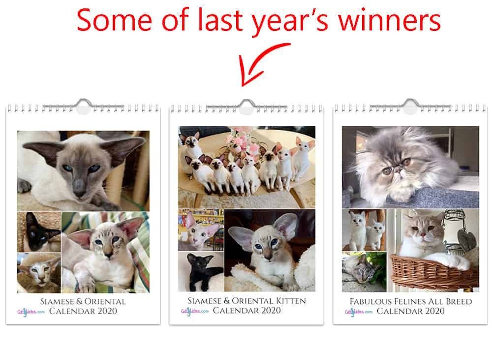 last years winners