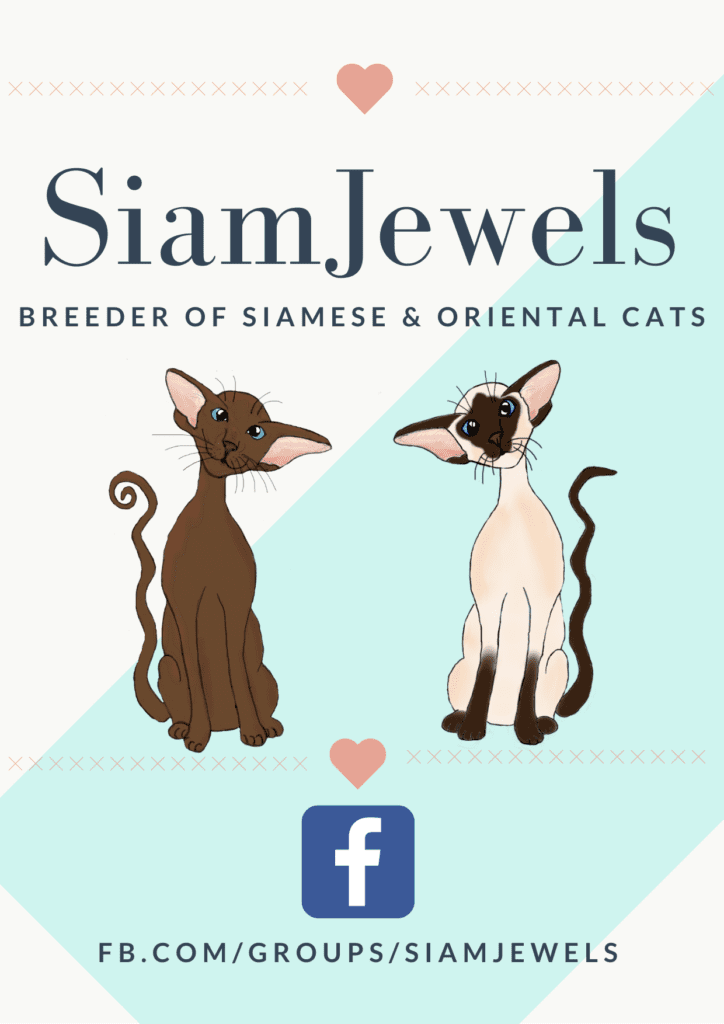 SiamJewels Advert 2