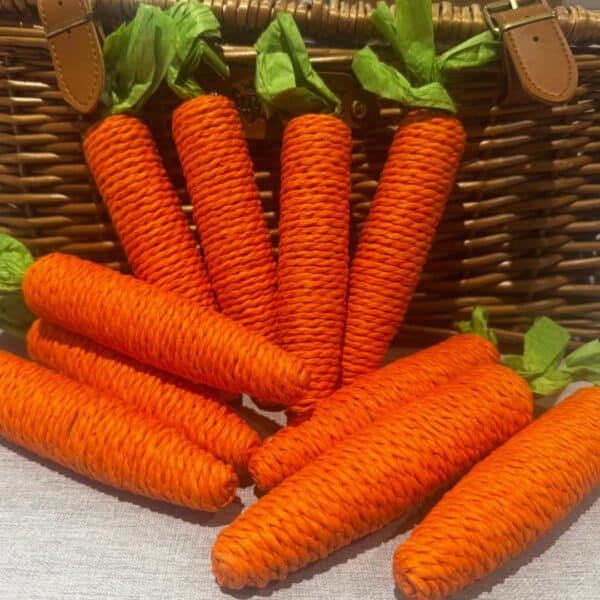 Carrot Shaped Chew and Scratch Toy
