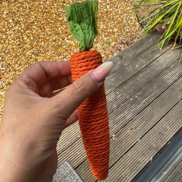 Carrot Shaped Chew and Scratch Toy - Image 3