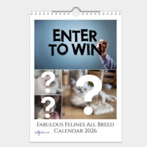 Fabulous Felines All Breed Cat Calendar 2026