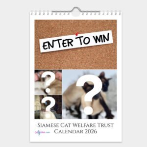 Siamese Cat Welfare Trust Calendar 2026