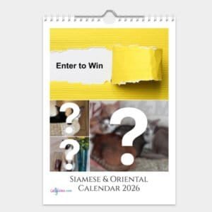 Siamese & Oriental Cat Calendar 2026