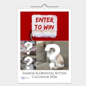 Siamese & Oriental Kitten Calendar 2026