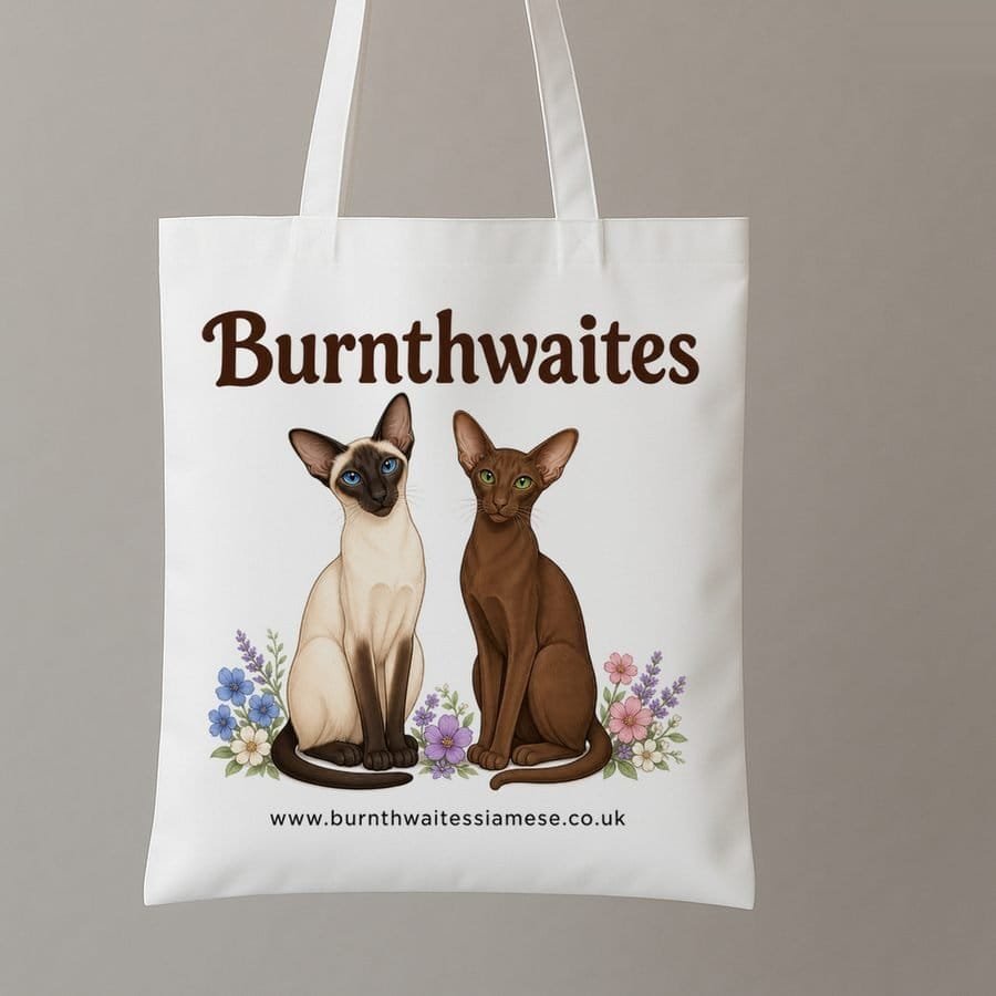 Example kitten pack tote bag design: burnthwaites cartoon url