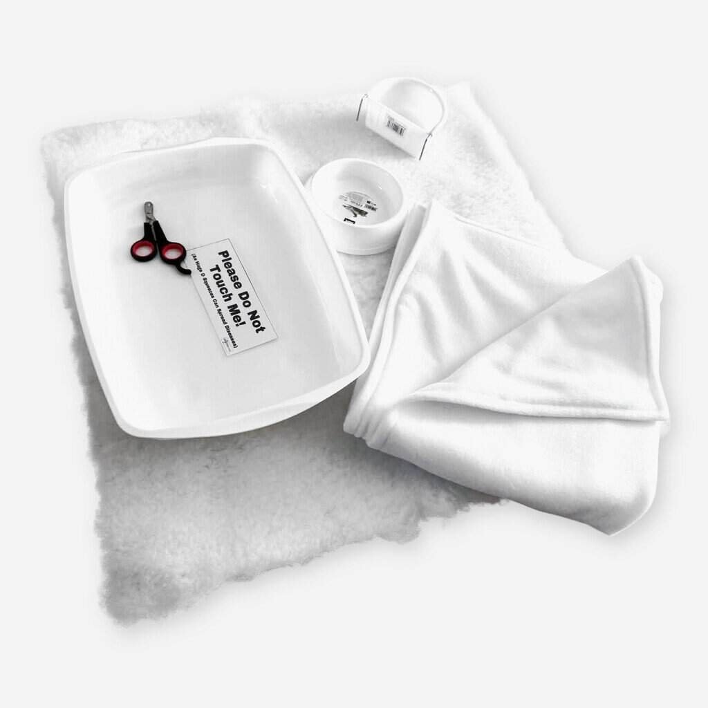 GCCF show whites single-pen kit: white blanket, small white litter tray, food bowl, hook-on water bowl, white vet bed, claw clippers and Do Not Touch sign